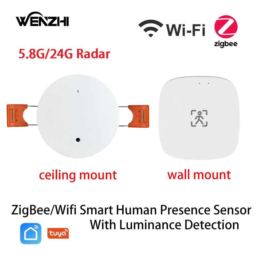 زيجبي واي فاي MmWave مستشعر حر - مراجعة Tasmota وسعره